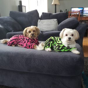 Meet your Posher, Shelli